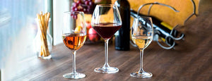Types of Wine Glasses and What Wine They Are Used For