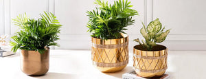 Guide to Choosing the Perfect Planters: Tips & Tricks