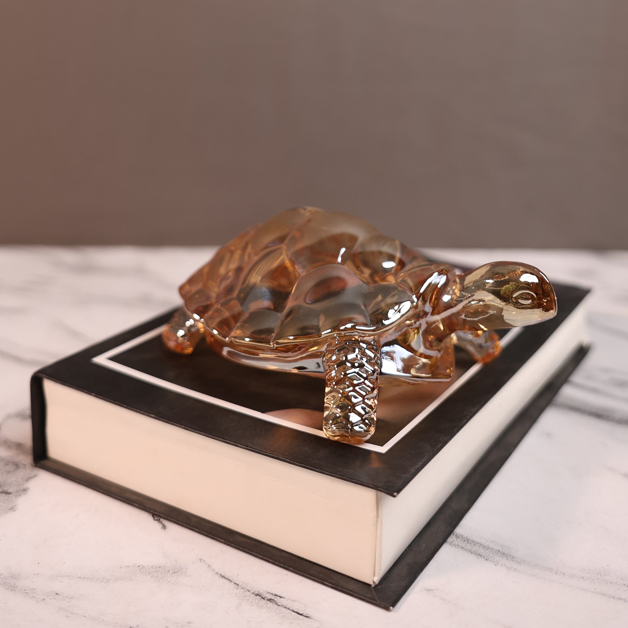 Crystal Turtle Wellness Decor