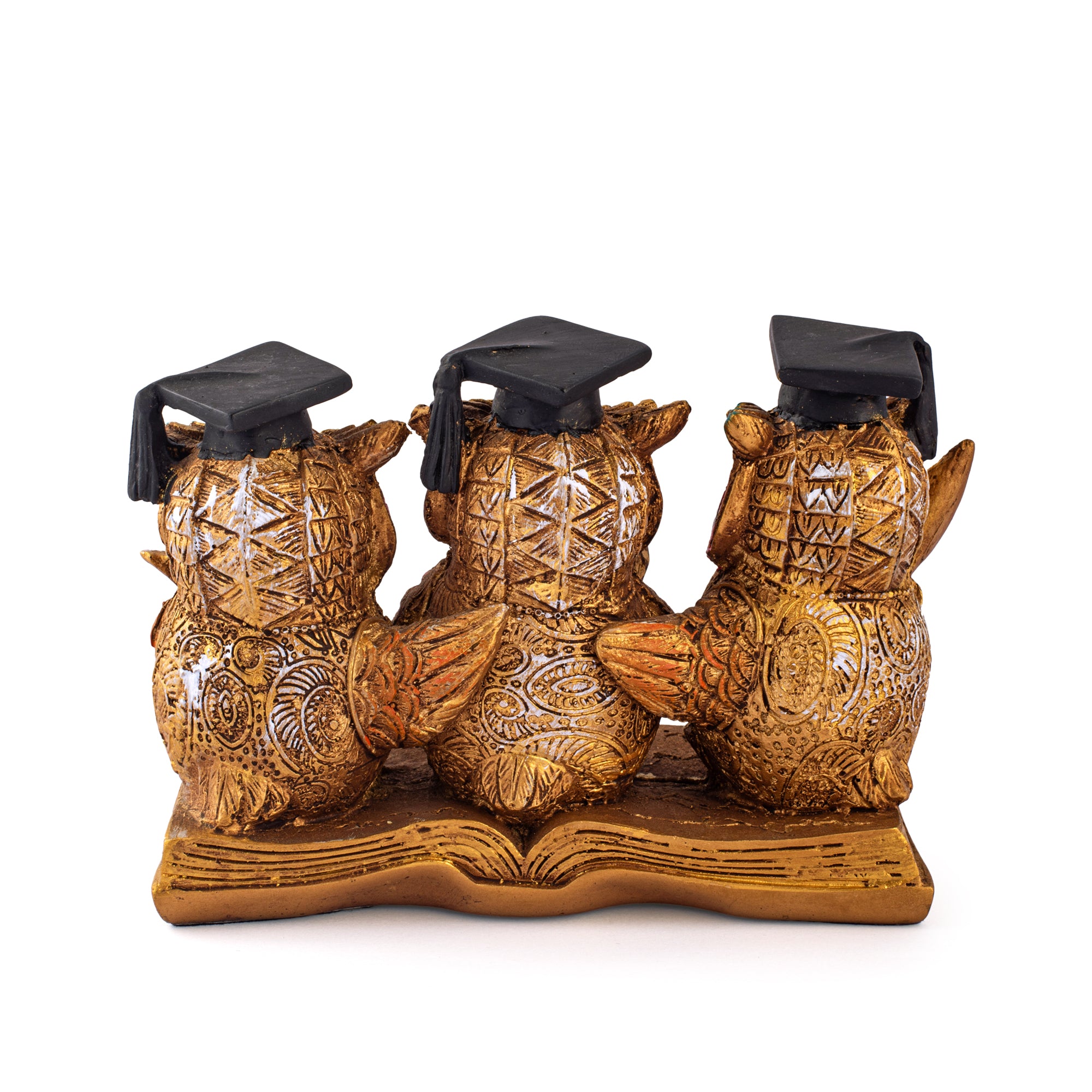 Scholar Owl with Knowledge Book