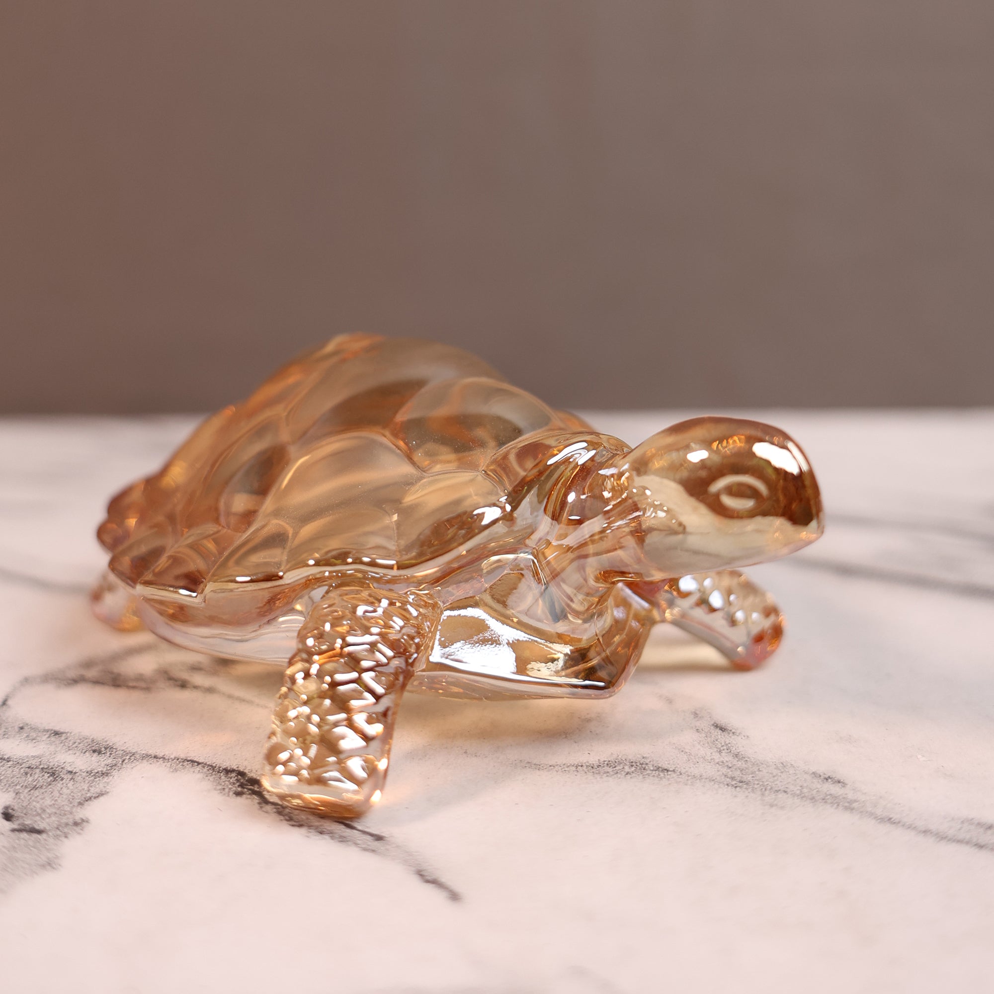 Crystal Turtle Wellness Decor