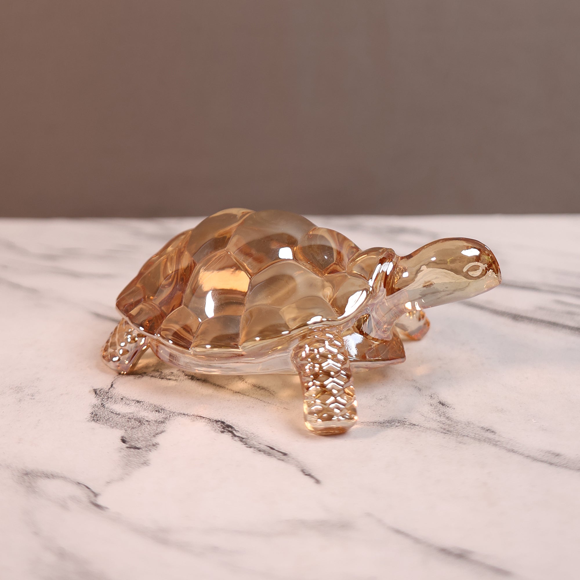 Crystal Turtle Wellness Decor