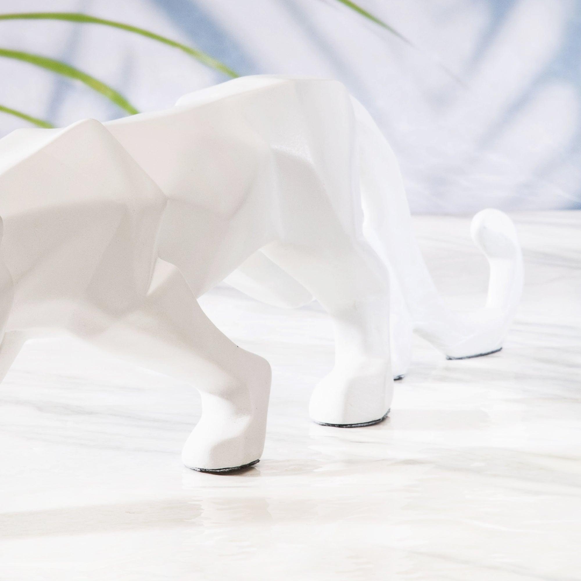 Panther Geometry Fusion