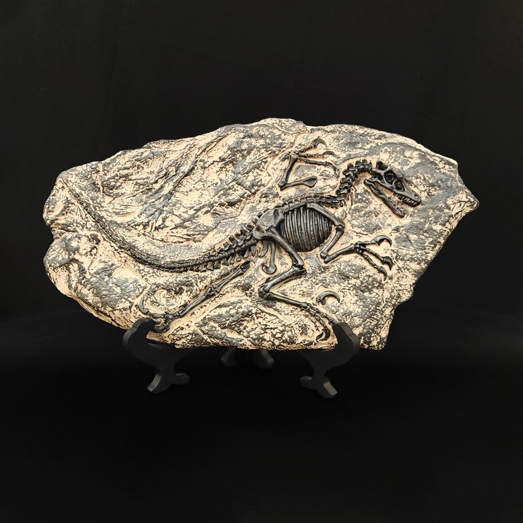 DINO FOSSIL DECOR