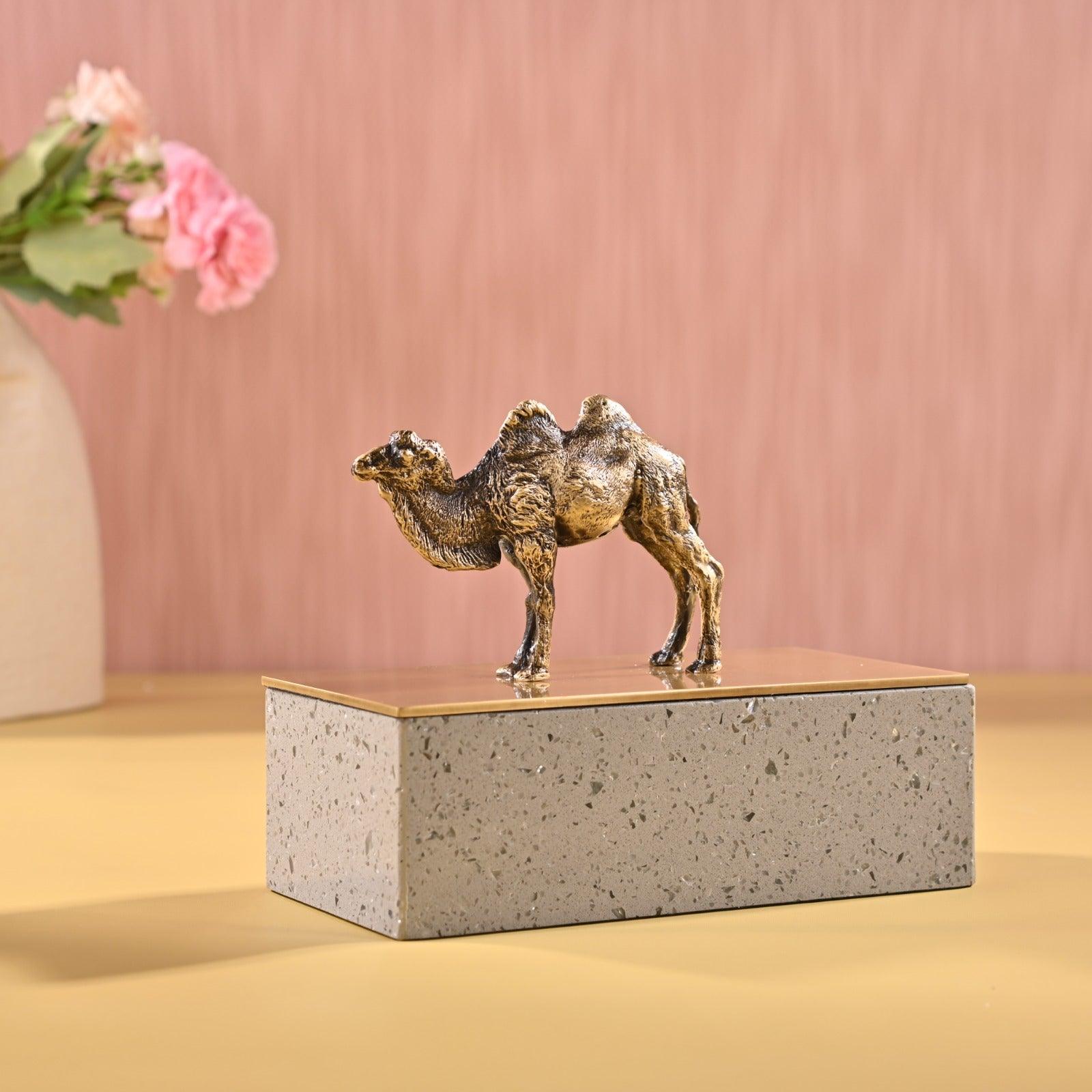 DECORATIVE BRASS STORAGE BOX - Smokey Cocktail