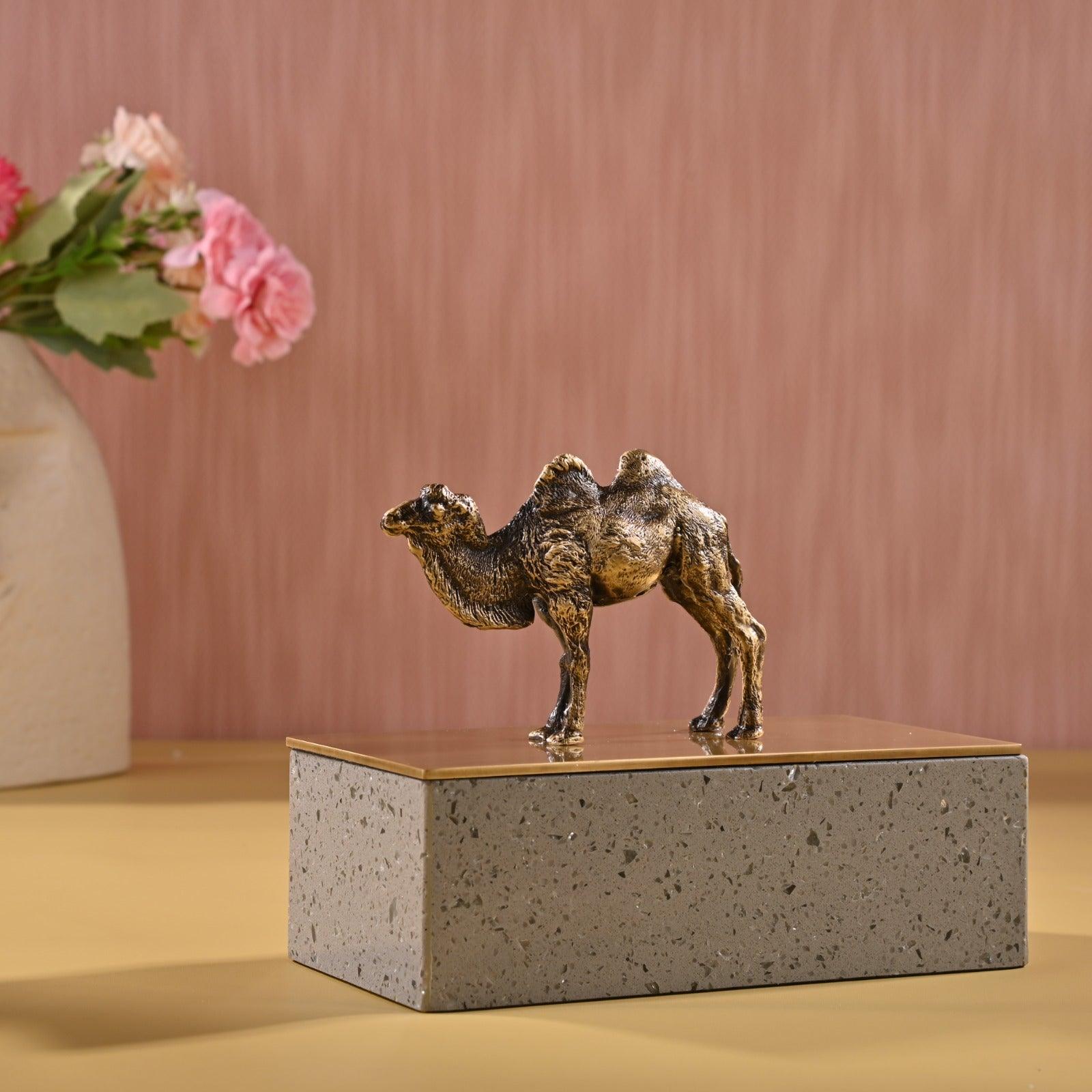 DECORATIVE BRASS STORAGE BOX - Smokey Cocktail