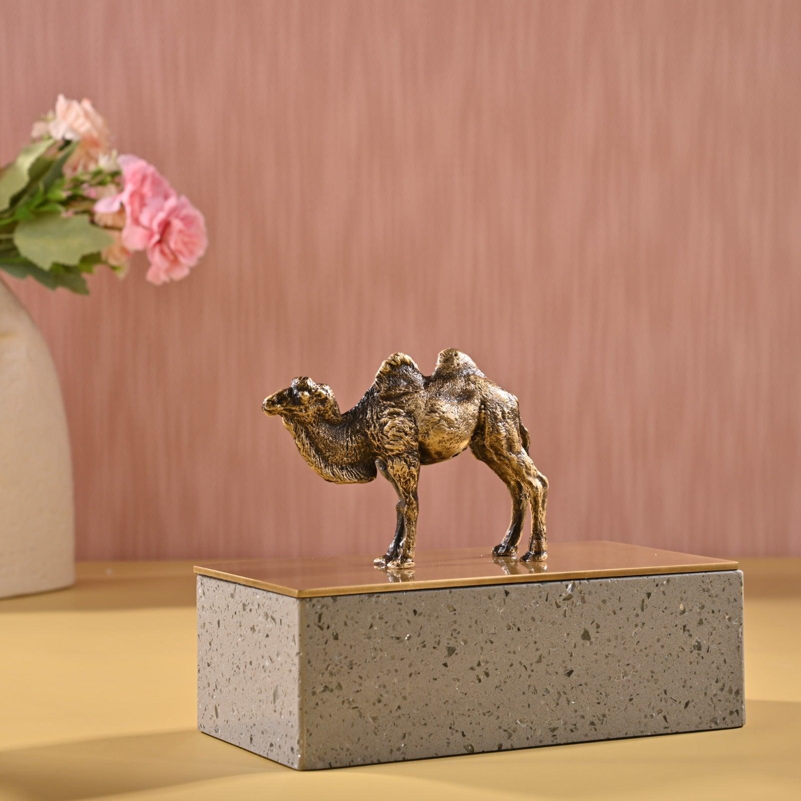 DECORATIVE BRASS STORAGE BOX - Smokey Cocktail