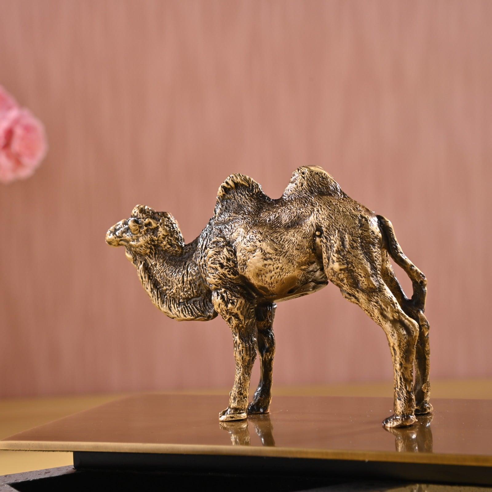 DECORATIVE BRASS STORAGE BOX - Smokey Cocktail