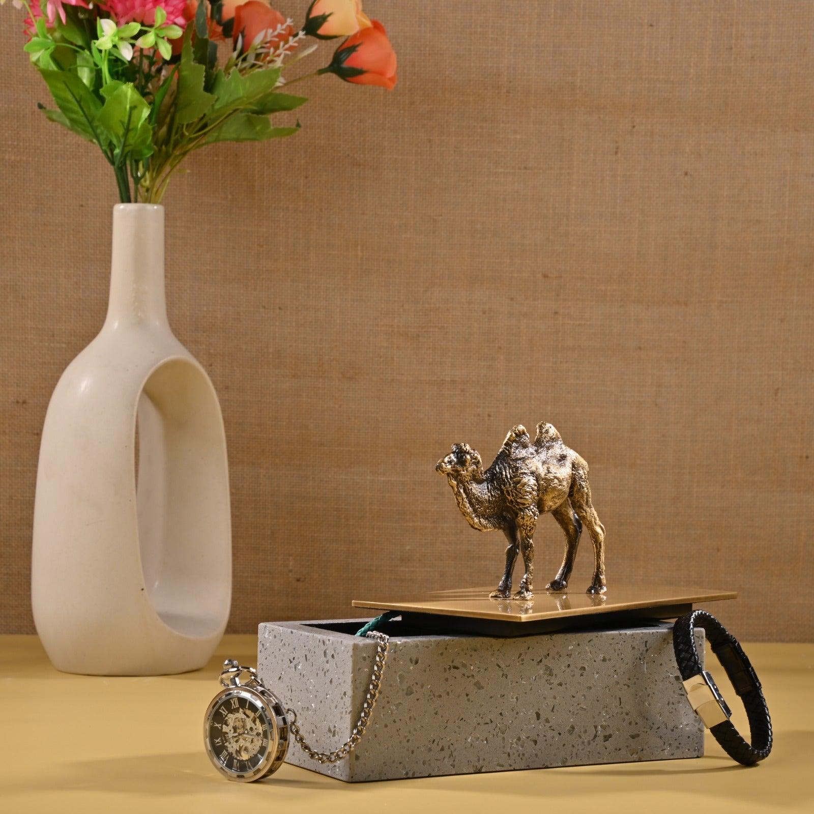 DECORATIVE BRASS STORAGE BOX - Smokey Cocktail