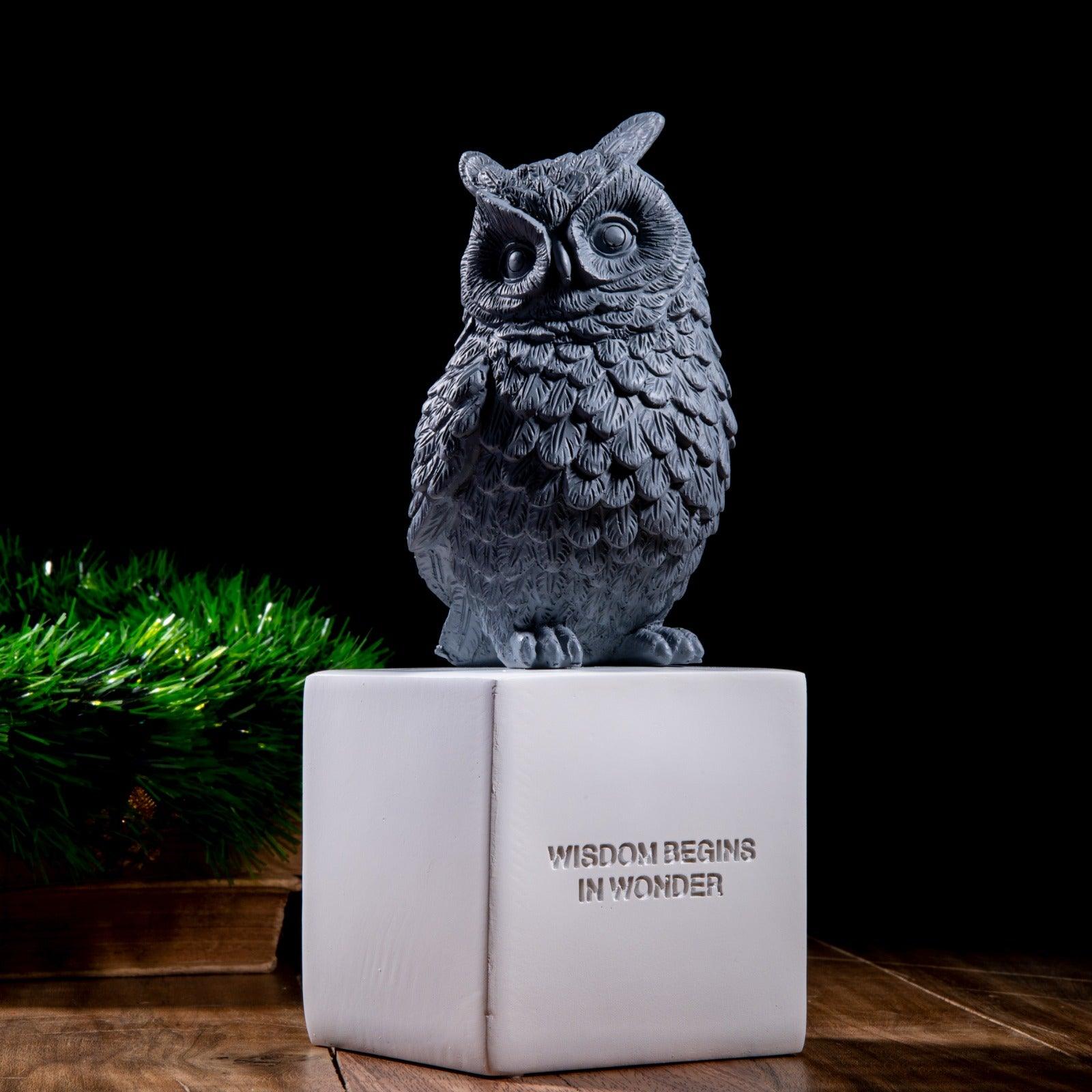 Wise Owl Brings Fortune Decor