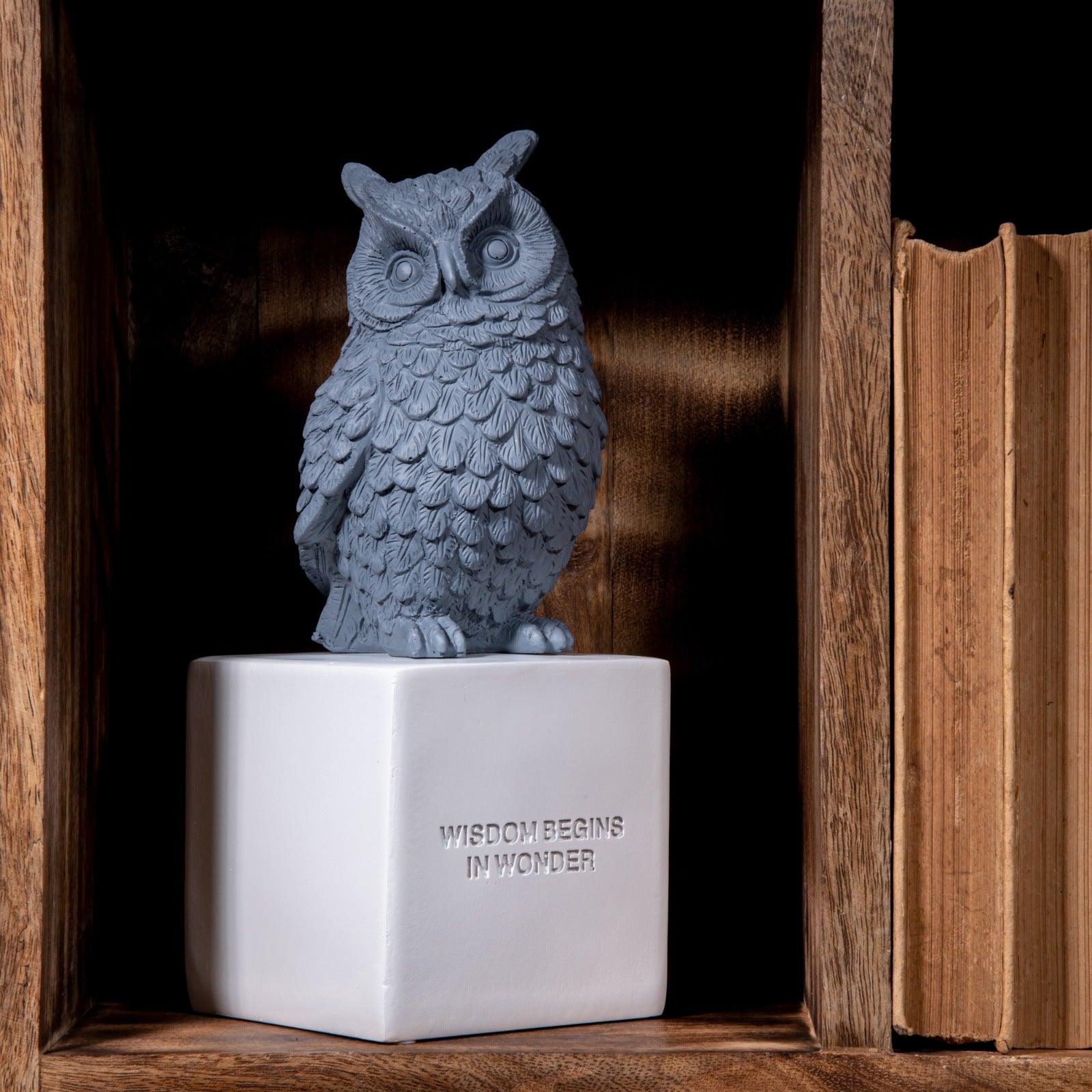 Wise Owl Brings Fortune Decor