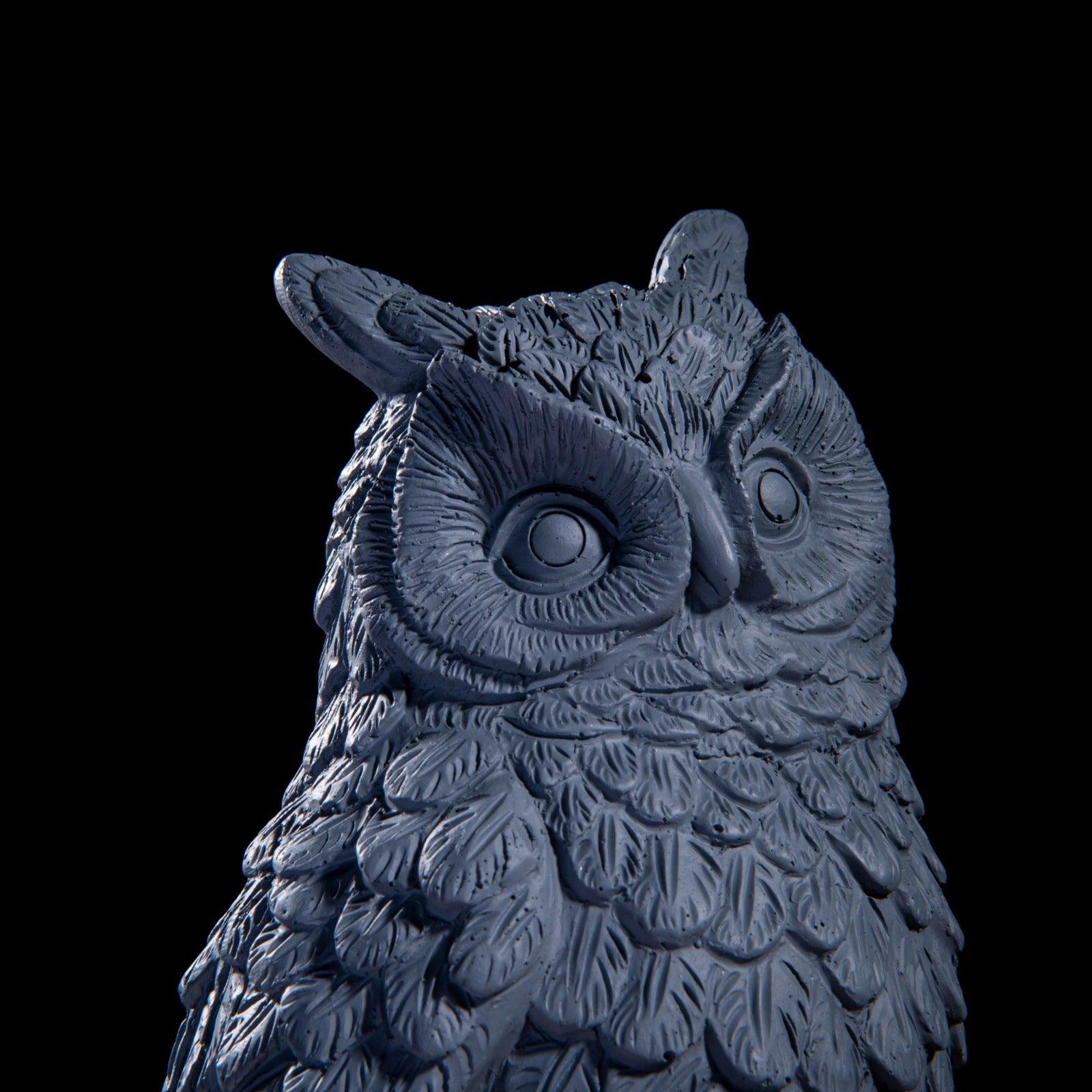 Wise Owl Brings Fortune Decor