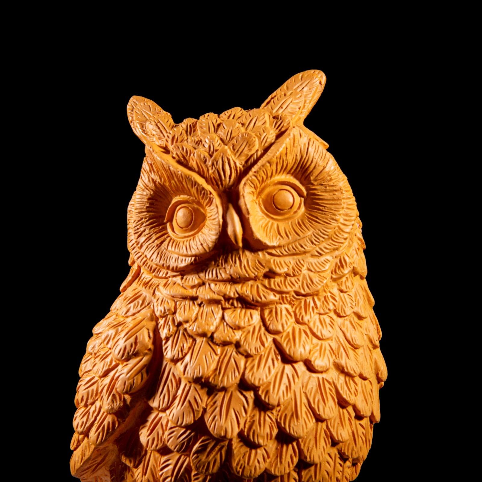 Wise Owl Brings Fortune Decor