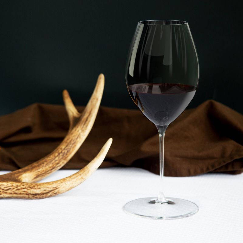 Riedel Performance Syrah CRYSTAL GLASS - SET OF 2 - MADE IN GERMANY