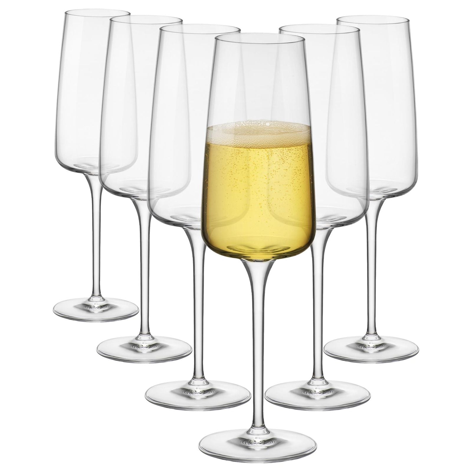 Classic Champagne Glass - Set Of 6
