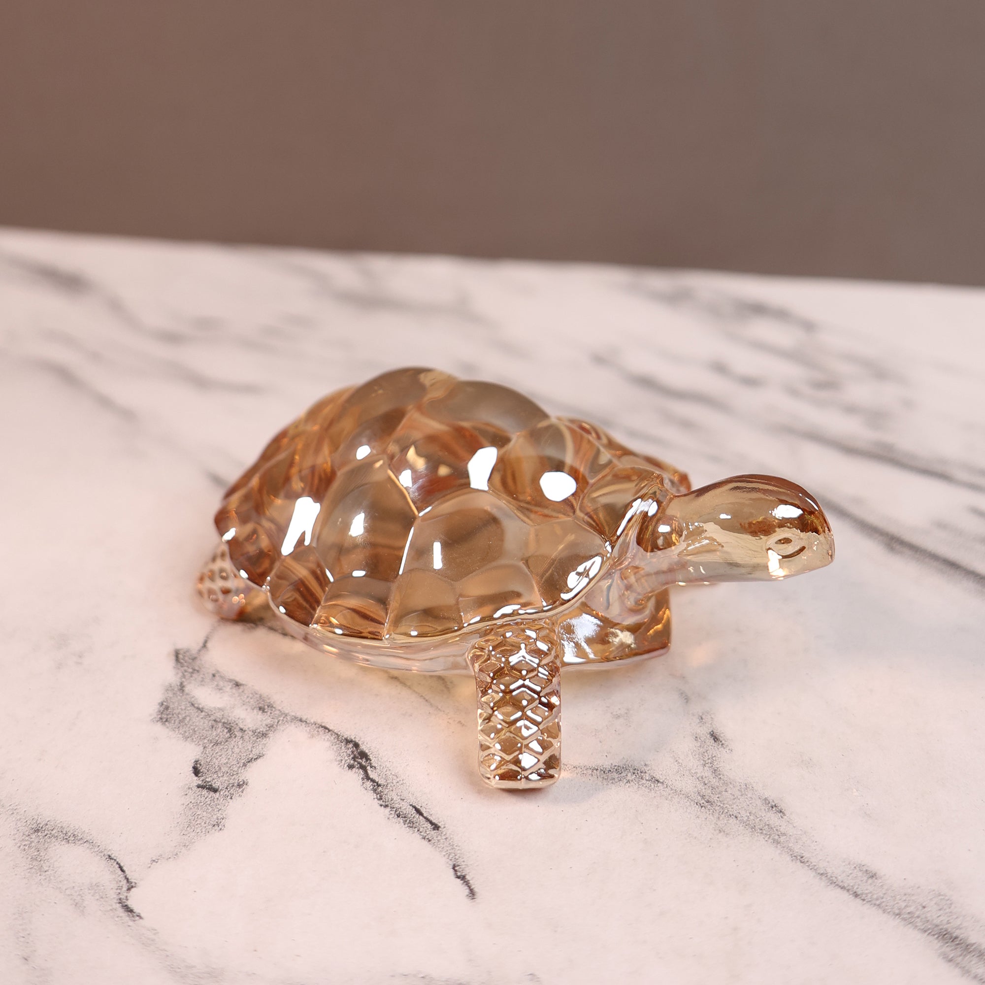 Crystal Turtle Wellness Decor