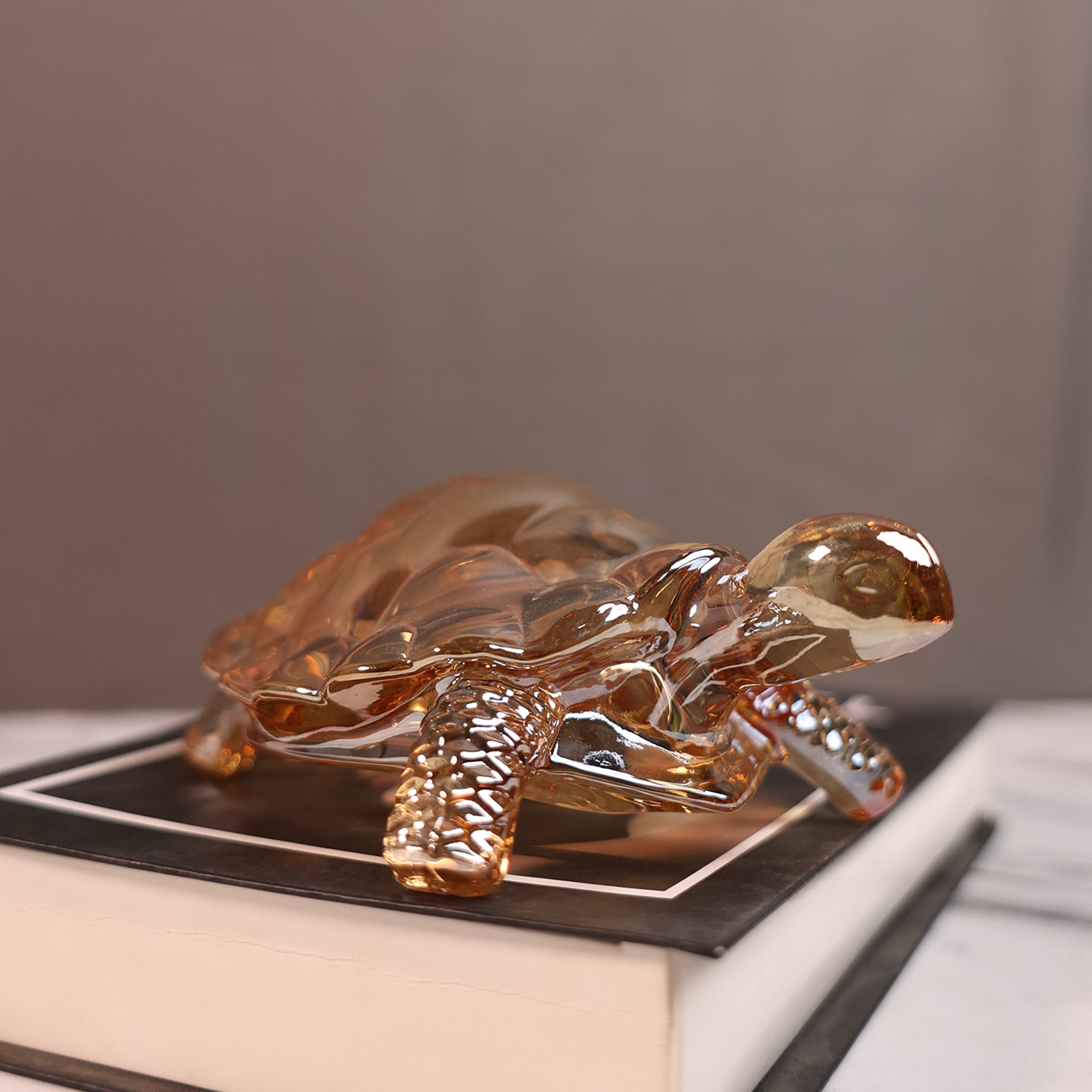 Crystal Turtle Wellness Decor